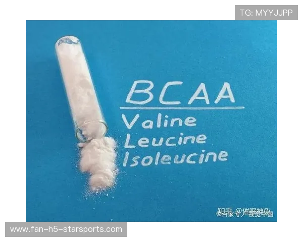 补剂指南：肌酸、支链氨基酸（BCAA）真的能提升力量表现吗？，肌酸支链氨基酸哪个好